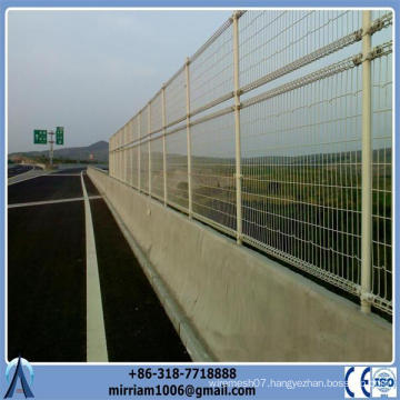 Double Ring Decorative Wire Fence/Double Loop Wire Mesh Fence (Anping)